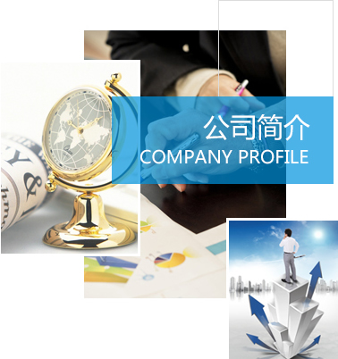 公司简介
